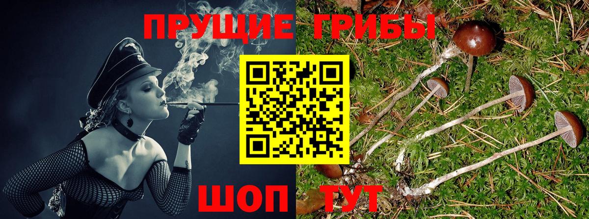 Псилоцибиновые грибы ЛСД  Псилоцибиновые грибы MAGIC MUSHROOMS  Вход с VPN  Рубцовск 